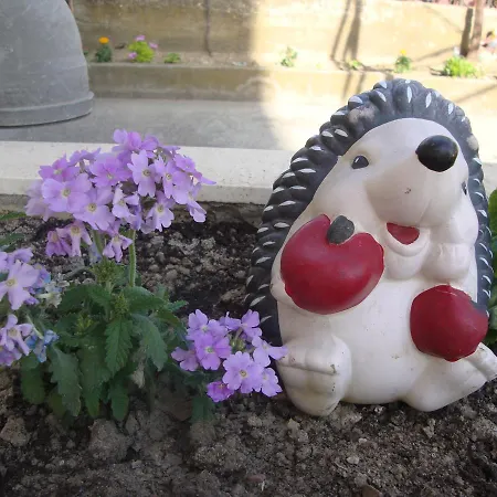 Kasalo Vendégház 3*