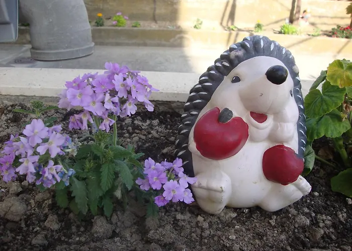 Kasalo בית הארחה 3*